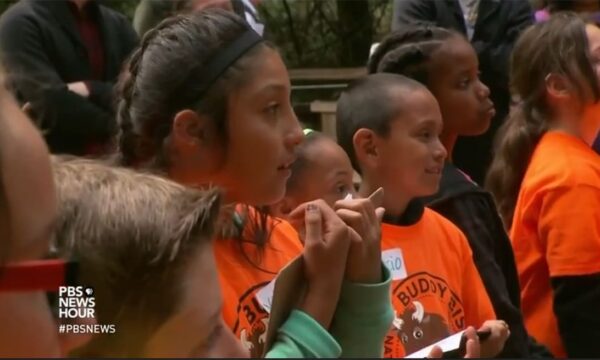 PBS News Hour Video Screenshot